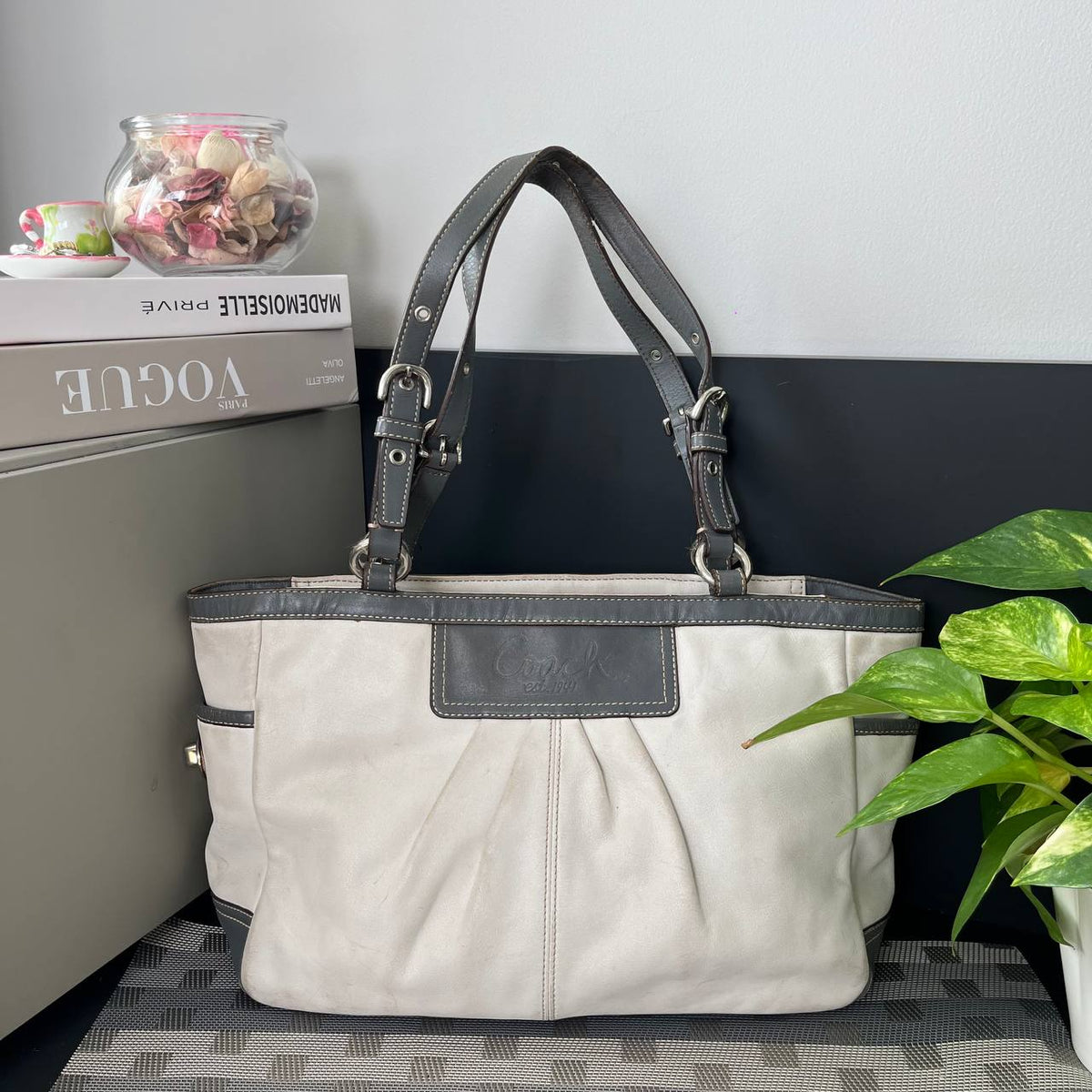 COACH LEATHER PLEATED GALLARY TOTE (Style #13759)
