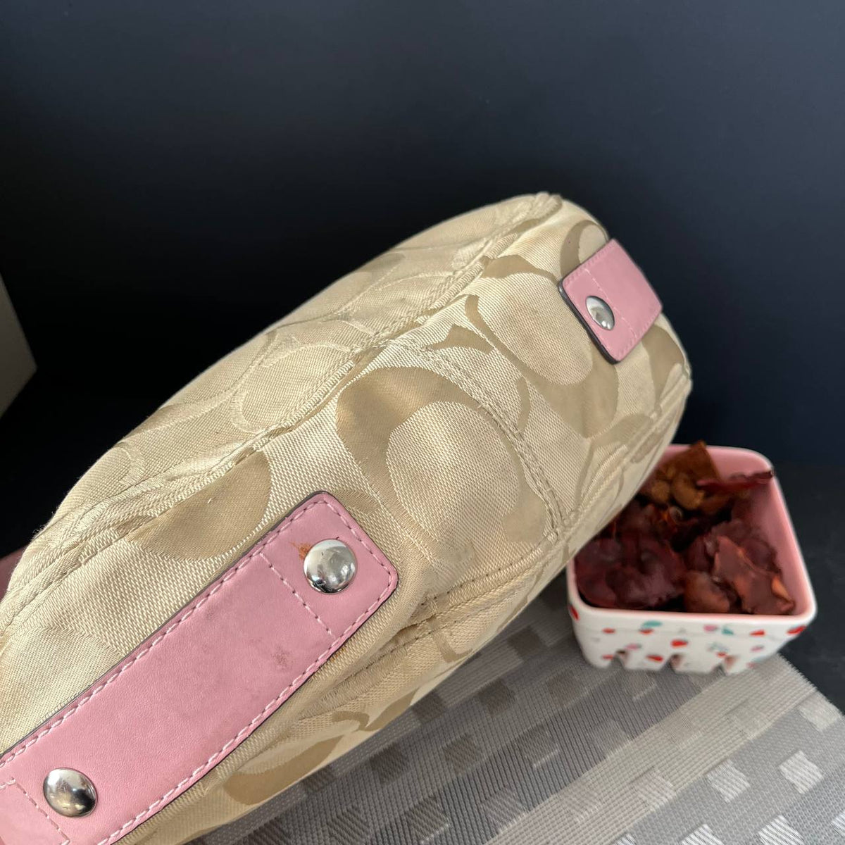 COACH SIGNATURE ZOE HOBO BAG (Style #14708)