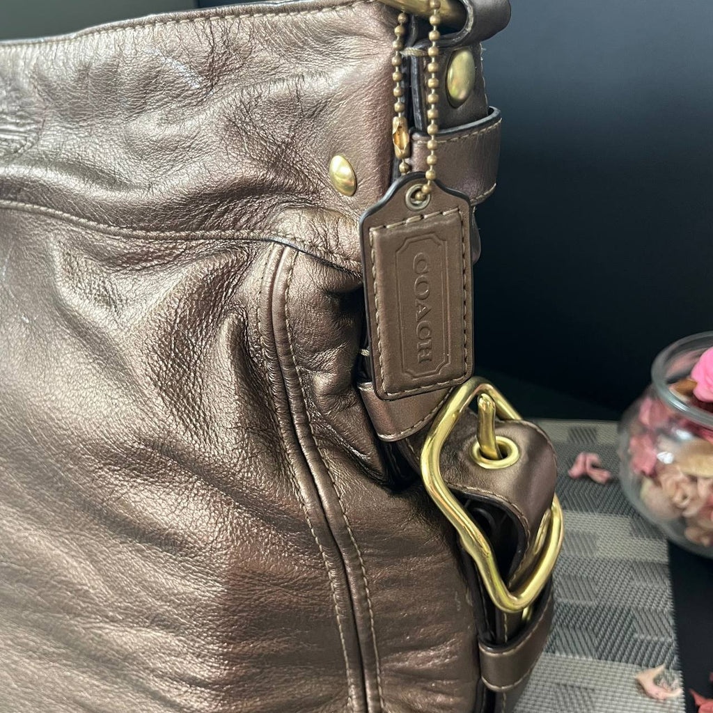 COACH METALLIC ZOE SHOULDER BAG (Style #12669)