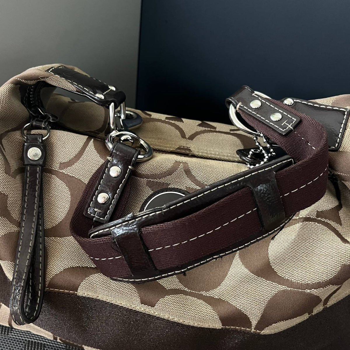 COACH SIGNATURE STRIPE HOBO BAG (Style #17434)
