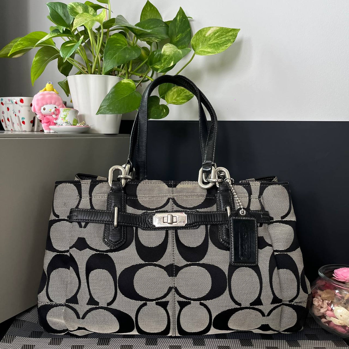 COACH SIGNATURE CHEALSEA TOTE (Style #17806)