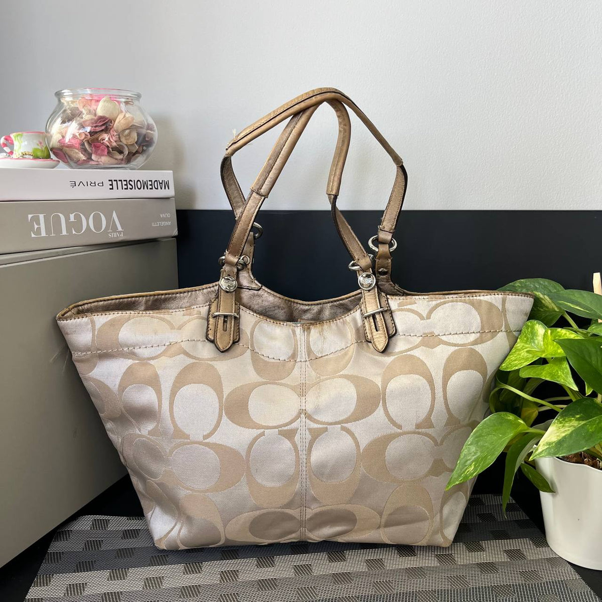 COACH ASHLEY SIGNATURE TOTE (Style #16175)