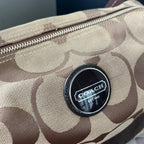 COACH SIGNATURE STRIPE HOBO BAG (Style #17434)