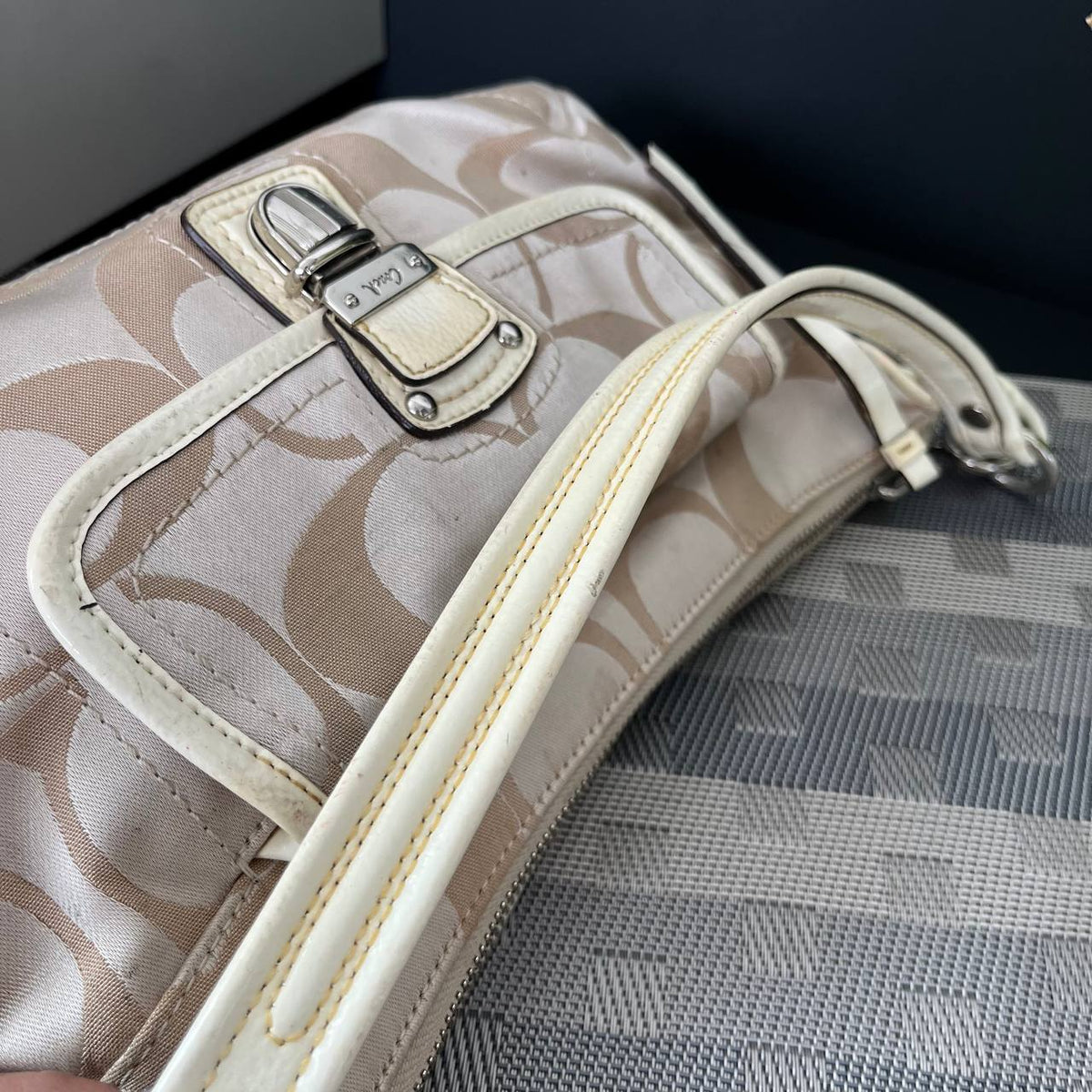 COACH POPPY SIGNATURE GROOVY BAG (Style #18983)