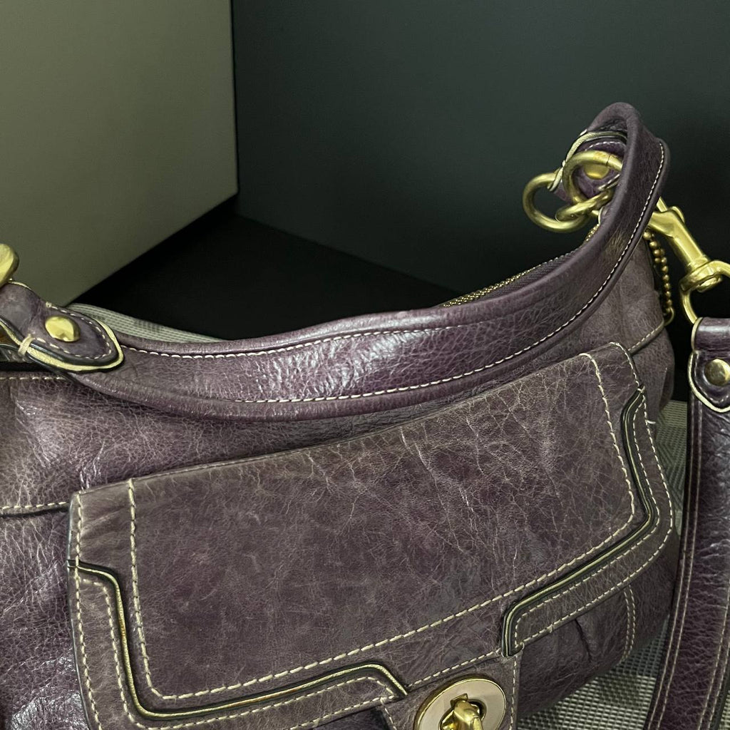 COACH POPPY GROOVY CROSSBODY SHOULDER BAG (Style #17919)