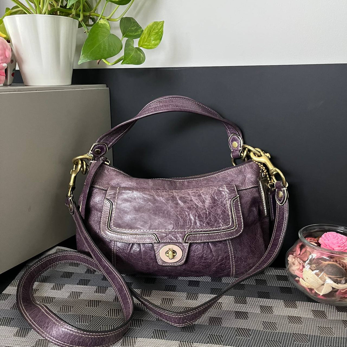 COACH POPPY GROOVY CROSSBODY SHOULDER BAG (Style #17919)