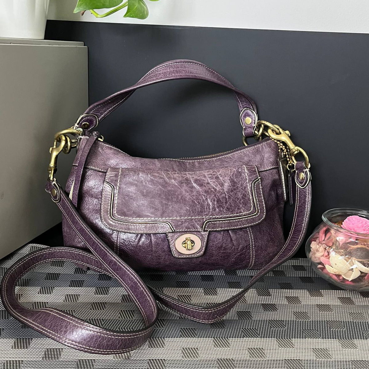 COACH POPPY GROOVY CROSSBODY SHOULDER BAG (Style #17919)