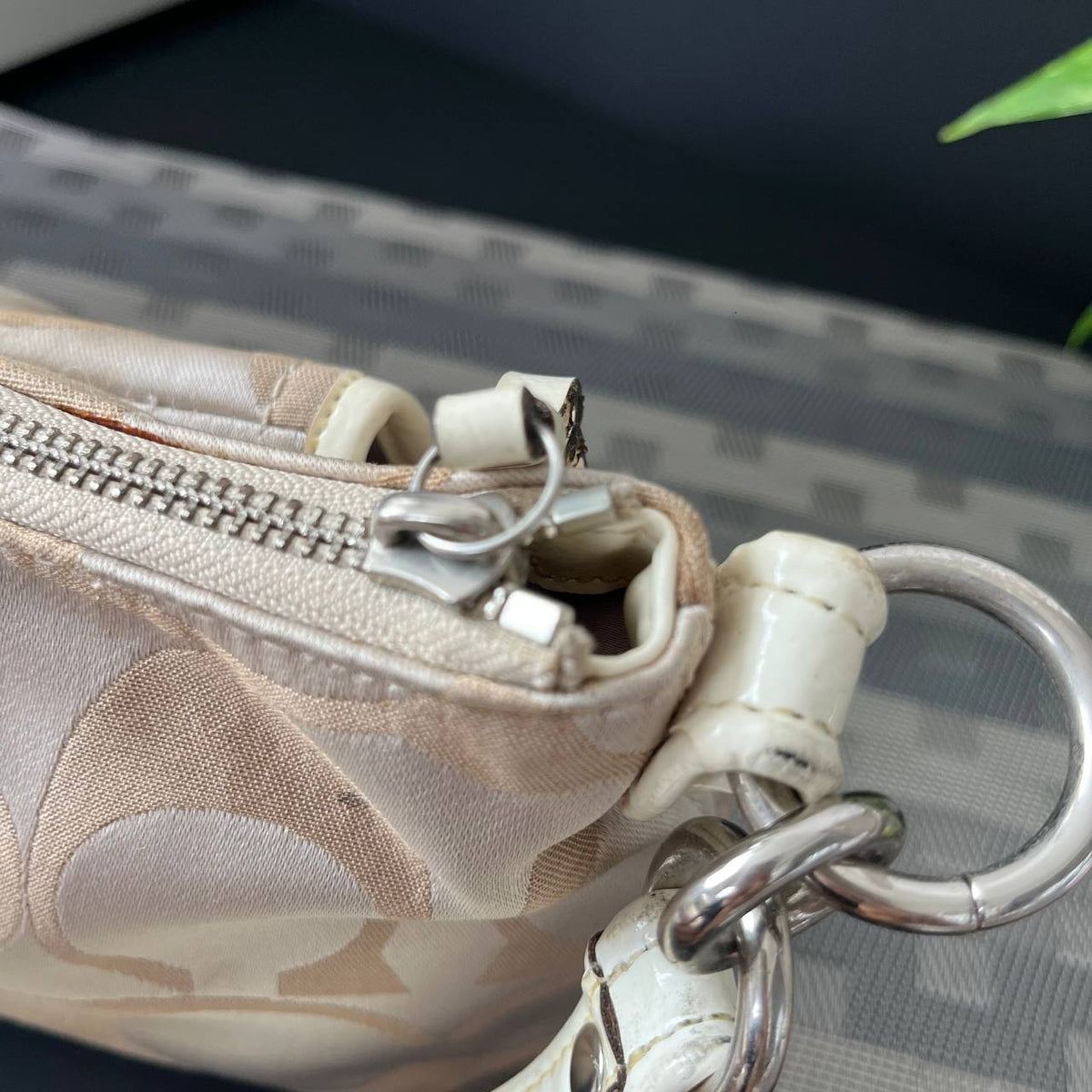 COACH POPPY SIGNATURE GROOVY BAG (Style #18983)