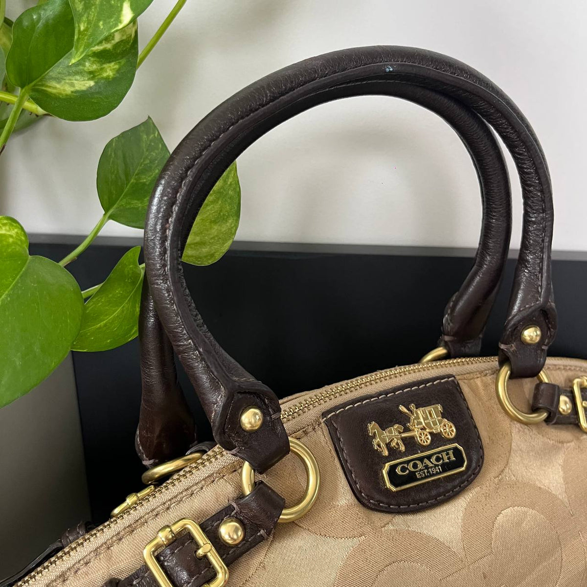 COACH MADISON OPTICAL ART LINDSEY SATCHEL  (Style #18649 )