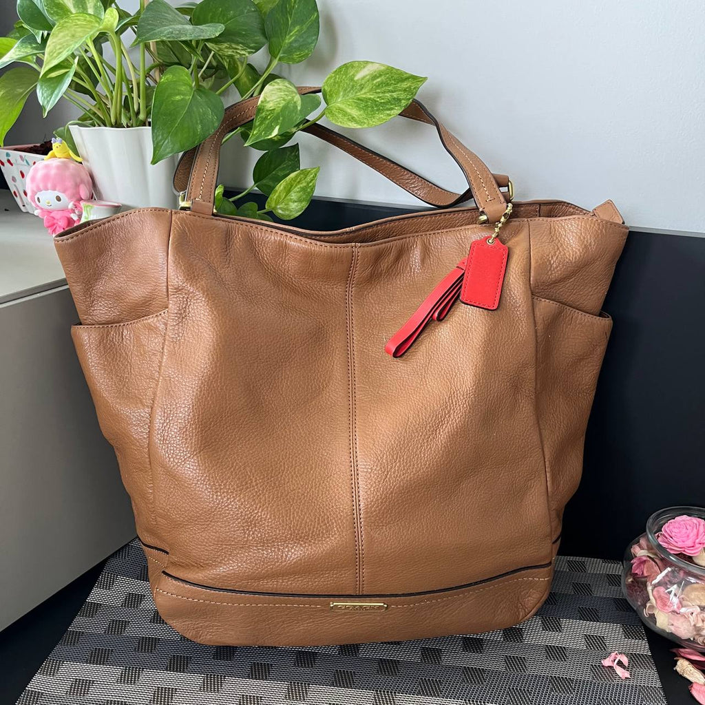 COACH PARK CARRIE TOTE  (Style #23662 )