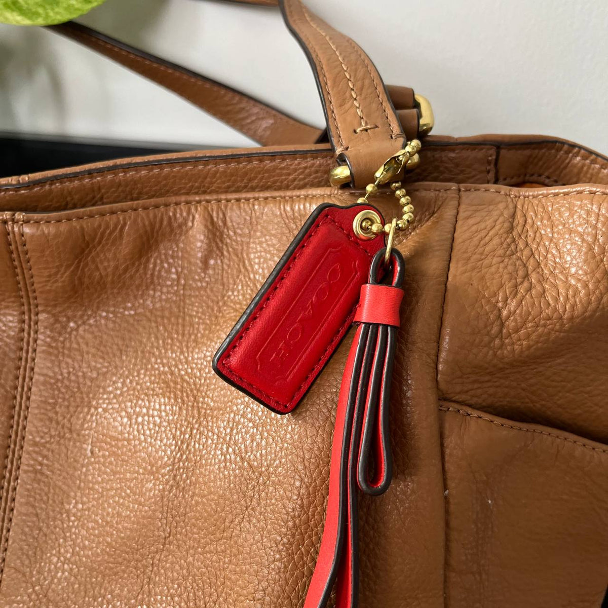 COACH PARK CARRIE TOTE  (Style #23662 )