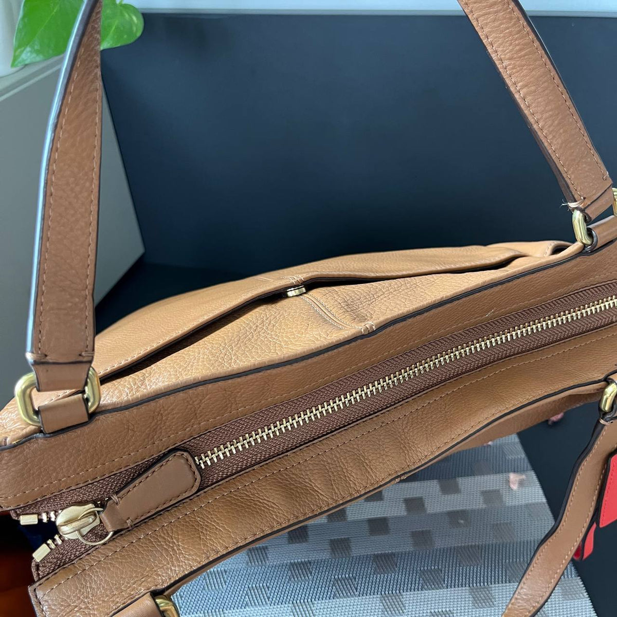 COACH PARK CARRIE TOTE  (Style #23662 )